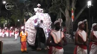 Procesiune spectaculoasă cu zeci de elefanți, în Sri Lanka
