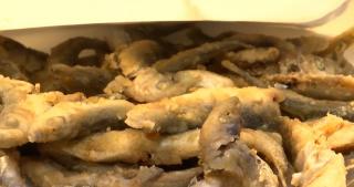 Marea păcăleală de pe litoral. Celebrele hamsii sunt, de fapt, șprot