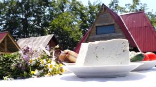 Viaţa la stână, în Munţii Sureanu. Cașul, slănina şi ceapa, meniul de bază