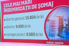 Topul șomerilor de lux. Un bărbat din Arad ia 16.000 de lei pe lună