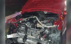 Urs spulberat de patru mașini, pe Autostrada A1, între Sibiu şi Deva