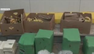 Cocaină în cutii de banane, destinată inclusiv pentru România, găsită în Bulgaria