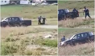 Ciobănesc carpatin ucis în bătaie în faţa turiştilor, langă pensiunea Valea Cocorei (Video)