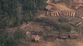 Uriaşele incendii de vegetaţie din Amazon pot accelera încălzirea globală