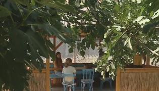 Locuințele bunicilor din Delta Dunării, transformate în case de vacanță ce atrag turiști