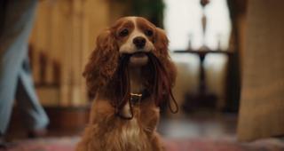 Trailerul filmului Doamna și Vagabondul a fost lansat de Disney