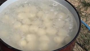 Festivalul Prunelor din Harghita, delicii de sezon