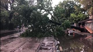 Imagini dramatice după furtuna din București. Copaci rupți și străzi inundate (Video)