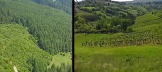 Frumuseţea Transilvaniei rivalizează cu Toscana, conform jurnaliştilor englezi