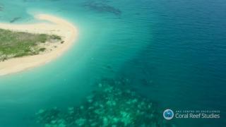 Marea Barieră de Corali din Australia, amenințată de poluare