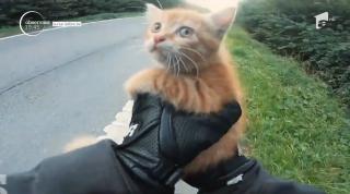 Pisoi salvat în ultima clipă de la moarte, de un motociclist în Belgia