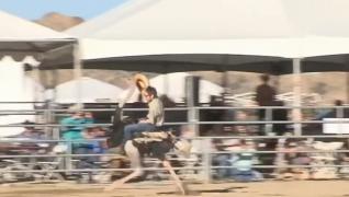 Spectacol în Nevada, la cursele cu struți, zebre și cămile