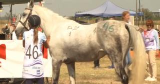 La Buftea a avut loc Campionatul de Anduranţă Ecvestră