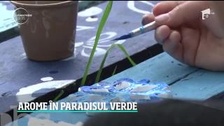 Observator de weekend