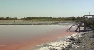 Lacul Sărat din Brăila, celebru pentru nămolul său, se transformă în deșert