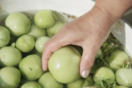 Gogonelele sunt greu de găsit în piețe, în plin sezon al murăturilor. Care e cauza