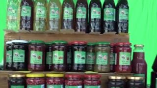 Festival cu produse bio în orașul Odorheiu Secuiesc (Video)