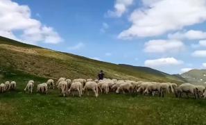 Premieră naţională în Bistriţa Năsăud. Prima cooperativă care vinde produse montane se află la Sângeorz-Băi