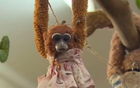 Regina Elisabeta a II-a a ajutat o fetiță să-și recupereze jucăria uitată în Palatul Buckingham