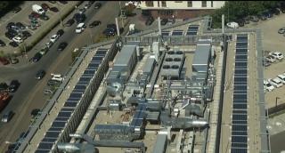 Şeful Transelectrica, demis după ce s-a lăudat în CV cu o diplomă falsă