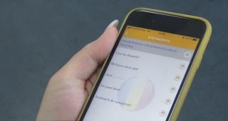 Elevă din Vâlcea, ghid virtual de conversaţie pentru străinii care aleg să viziteze România