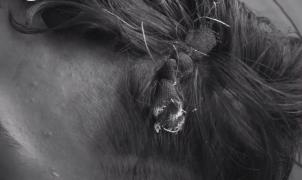 Scene de violenţă în două licee din România. Elevii s-au luat la bătaie și-au ajuns la spital