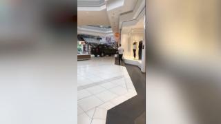 Un șofer de 22 de ani a răvășit cu mașina un mall din Chicago (Video)