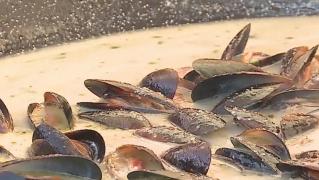 Mâncarea mediteraneană, tema unui festival gastronomic din Târgu Mureş