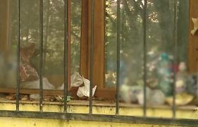 Un constănţean care adună gunoaie a umplut un bloc întreg de gândaci. Vecinii sunt terorizați