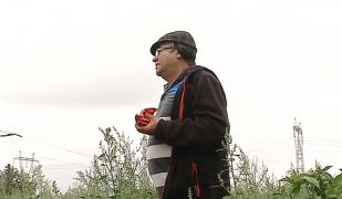 Legume mai scumpe din cauza secetei care a afectat producţia. Agricultorii sunt disperaţi