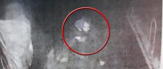 Poliţiştii sunt în căutarea bărbatului care ar fi atacat două femei pe stradă, în Bucureşti