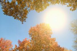 Vremea pe 29 septembrie 2019. Prognoza meteo de la ANM