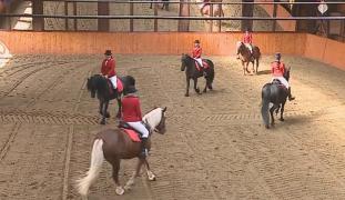 Sărbătoarea cailor la Dracula Horse Festival, în Mureş