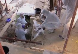 Descoperire uimitoare la Huedin. Arheologii au găsit o criptă cu patru sicrie ale unei familii nobile