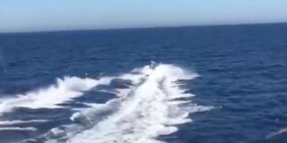 Poliţişti salvaţi din larg, chiar de traficanţii de droguri pe care îi urmăreau, pe Marea Mediterană