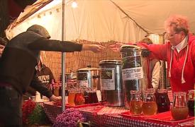 Răsfățul recoltei de struguri la a 19-a ediţie a festivalului Simfonii de Toamnă, de la Târgu Mureş