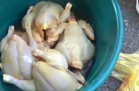 Carne de pasăre vopsită galben, vândută la marginea drumului (Video)