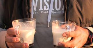 Laptele de măgăriţă, remediu natural împotriva virozelor