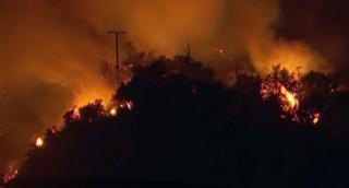 Trei oameni au murit după incendiile de vegetaţie din California