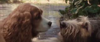 Filmul copilăriei, "Doamna şi Vagabondul", revine pe micile şi marile ecrane