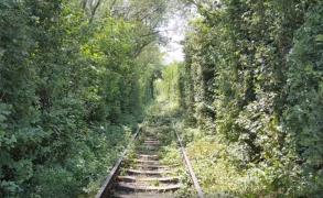 Tunelul Iubirii din Caraş Severin, doar o amintire. Paradisul iubiţilor a fost invadat de buruieni