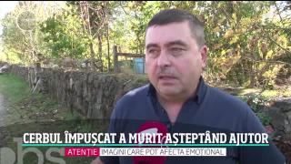 Observator de weekend