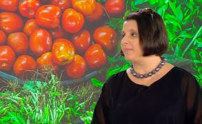 Obezitatea infantilă, un fenomen devastator în lume. Sfaturile specialiştilor