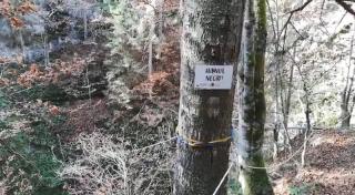 Turistul căutat de 3 zile în munţii Bihorului a fost găsit mort, în Avenul Negru, o peşteră foarte adâncă (Video)