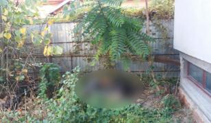 Mister în jurul unui cadavru mumificat găsit în curtea unei case din Târgu Jiu