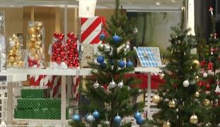 Brazii de Crăciun au apărut deja în magazine. Explicația, dezvăluită de specialiști