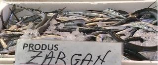 80% din peştele mâncat de români provine din import