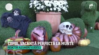 Observator de weekend