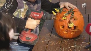 Cel mai mare zid din dovleci sculptați, pregătit în București