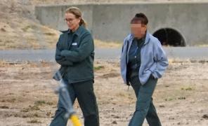 Actriţa Felicity Huffman a fost eliberată din închisoare după 11 zile
